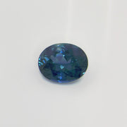 Montana Sapphire - Oval - 9.3x7.5mm